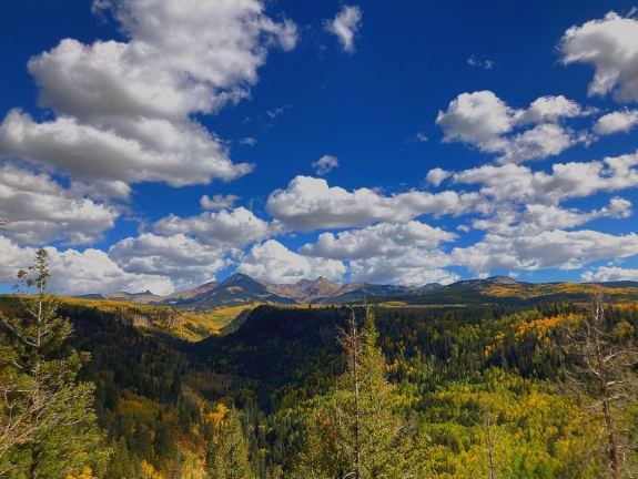 Fall In Mancos